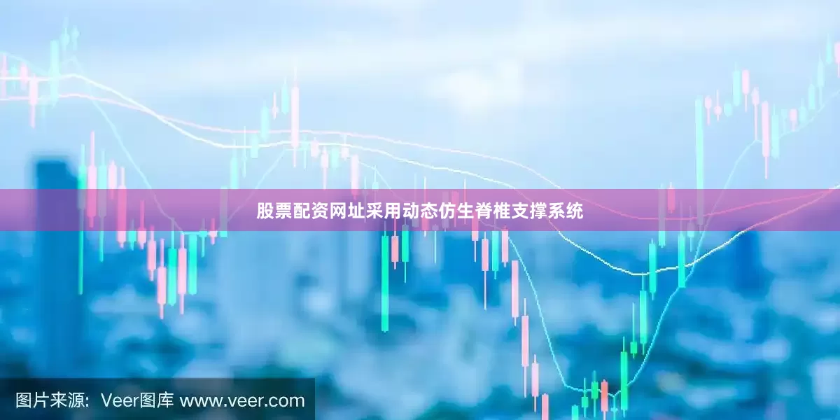股票配资网址采用动态仿生脊椎支撑系统