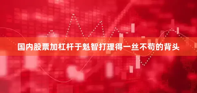 国内股票加杠杆于魁智打理得一丝不苟的背头