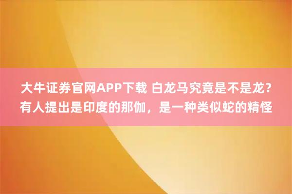 大牛证券官网APP下载 白龙马究竟是不是龙？有人提出是印度的那伽，是一种类似蛇的精怪