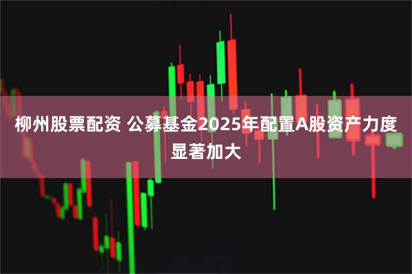 柳州股票配资 公募基金2025年配置A股资产力度显著加大