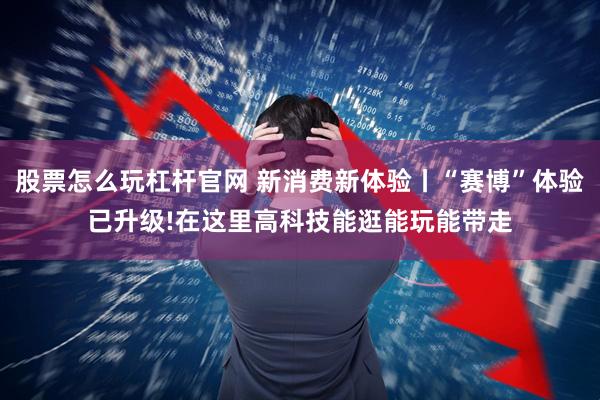 股票怎么玩杠杆官网 新消费新体验丨“赛博”体验已升级!在这里高科技能逛能玩能带走