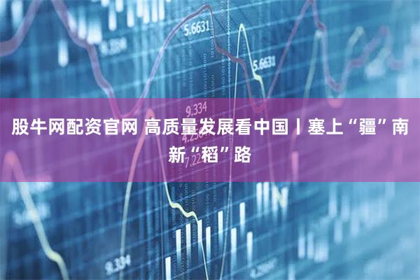 股牛网配资官网 高质量发展看中国丨塞上“疆”南新“稻”路