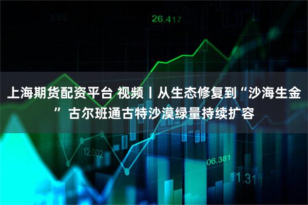 上海期货配资平台 视频丨从生态修复到“沙海生金” 古尔班通古特沙漠绿量持续扩容