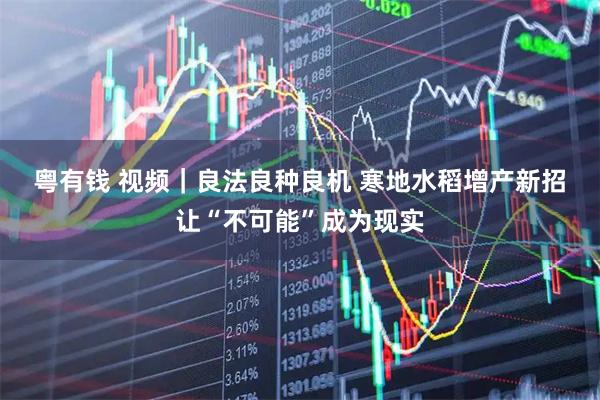粤有钱 视频｜良法良种良机 寒地水稻增产新招让“不可能”成为现实
